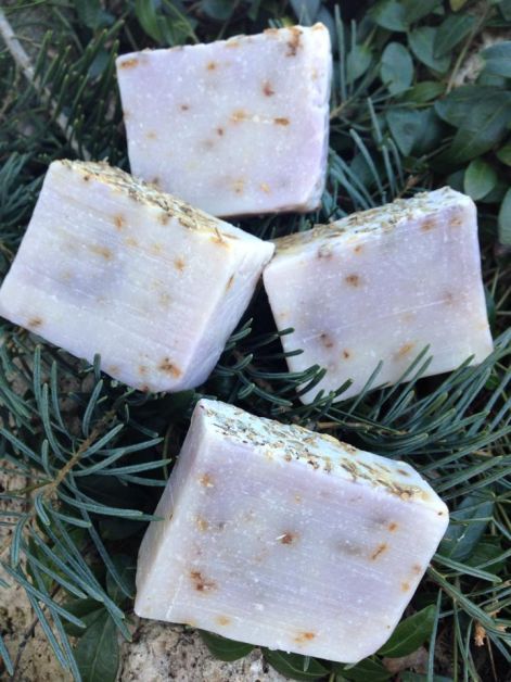 10983394_540006216141002_7032692471824563599_n.jpg 10983394_540006216141002_7032692471824563599_n.jpg